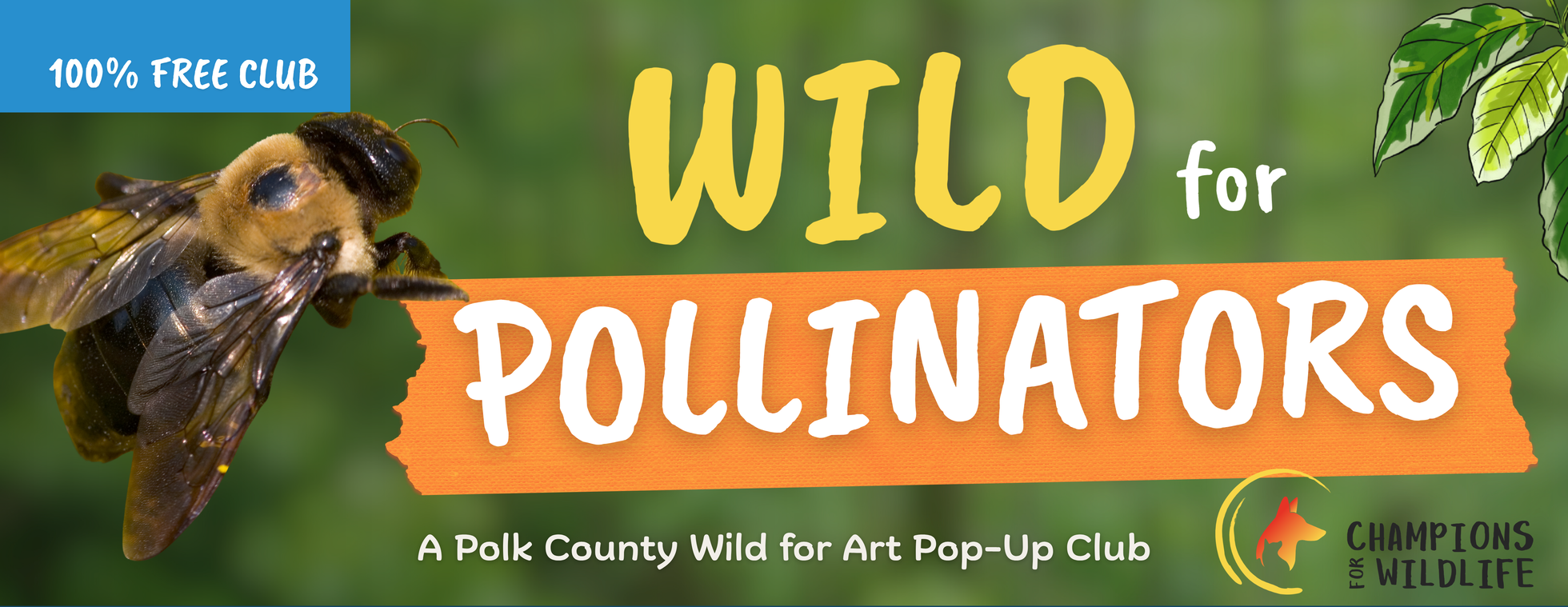 Polk County Wild for Pollinators Pop-Up Club